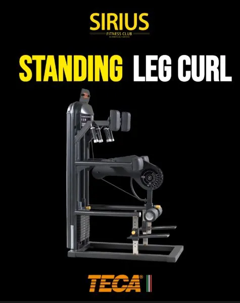 Teca Standing Leg Curl alla Palestra Sirius Fitness Club Palermo — macchinario per femorali in piedi